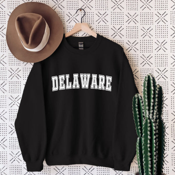 Delaware State Sweatshirt